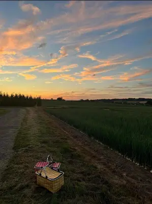 a basket sitting on the side of a field at De Boomgaard Voeren in Voeren