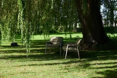 two chairs sitting under a tree in a park at Broekemmolen - Nature getaway & green spot in Bilzen