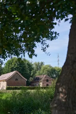 a couple of buildings in a field with trees at Broekemmolen - Nature getaway & green spot in Bilzen