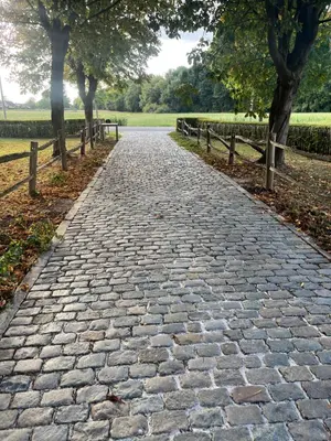 a cobblestone path in a park with trees at Broekemmolen - Nature getaway & green spot in Bilzen