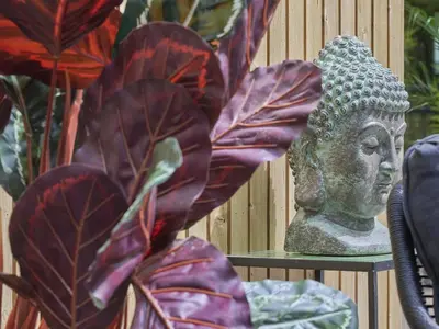 a statue sitting on a table next to some plants at Zen en Zoet in Zutendaal