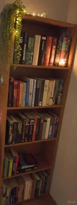 a book shelf filled with lots of books at Chalet Bosrust met serre & privéparking Natuur nabij Maastricht in Lanaken