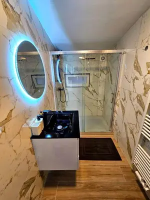 a bathroom with a sink and a shower at Jolie petite maison in Liège