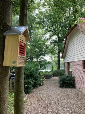 a bird house on a tree next to a house at Forest lakehouse with Breathtaking Sauna in Lanaken