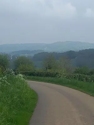 a winding road with grass and trees on the side at Ap57 Nature Ardennes Economy class apartment in Kelmis