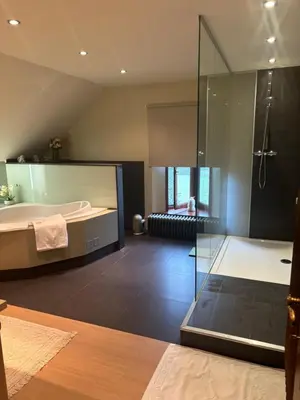 a large bathroom with a tub and a shower at Sophia Rooms 14 in Maasmechelen