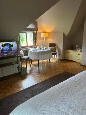 a bedroom with a table and a tv in a room at Sophia Rooms 14 in Maasmechelen