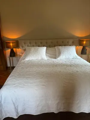 a large white bed with two pillows and two lamps at Sophia Rooms 14 in Maasmechelen