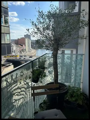 a tree on the balcony of a building at Appartement tout eco-confort proche du centre in Liège
