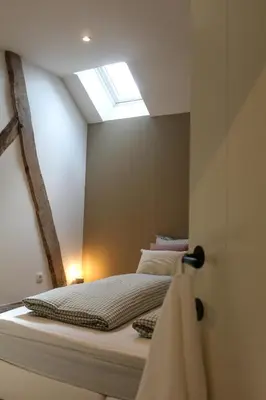 a bedroom with a bed with a skylight at Vakantiewoning Molenveld in Dilsen-Stokkem