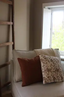 a couch with two pillows sitting in front of a window at Vakantiewoning Molenveld in Dilsen-Stokkem