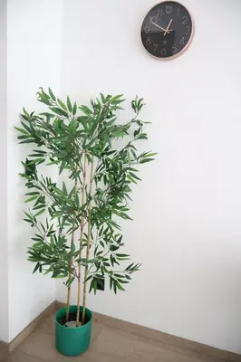 a green plant in a green pot next to a clock at Le Carlton in Liège