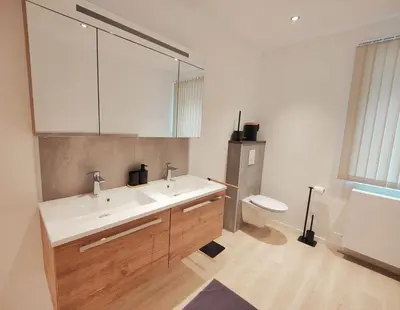 a bathroom with a sink and a toilet at Princenhuis37 in Tongeren