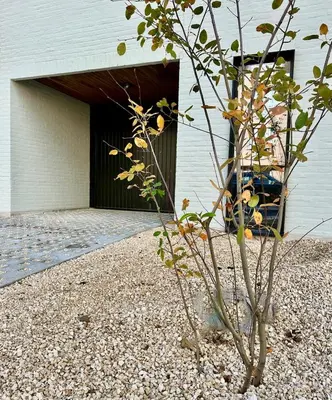 a tree in front of a building with a garage at Zalig HASPENGOUW in Sint-Truiden