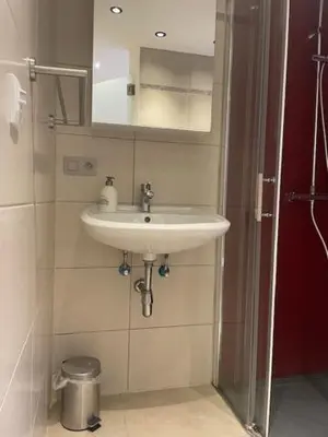 a bathroom with a sink and a mirror at Tweekamer Apartement in Dilsen-Stokkem