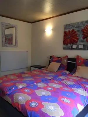 a bedroom with a large bed with a colorful comforter at Tweekamer Apartement in Dilsen-Stokkem