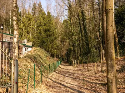 a dirt road in a forest with a fence at Holiday Home in Lanklaar near Forest Trails in Lanklaar