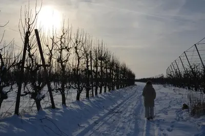 a person is walking down a snow covered road at Hoeve BôThé - B&B in Alken