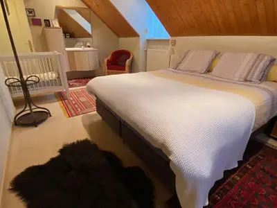 a bedroom with a bed with a dog laying on the floor at Nachtegaal in Dilsen-Stokkem