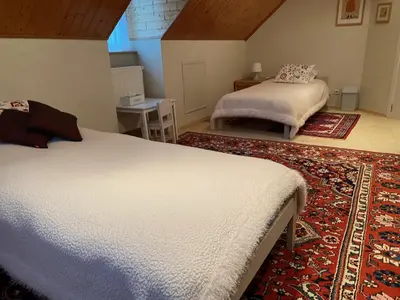 a bedroom with two beds and a rug at Nachtegaal in Dilsen-Stokkem