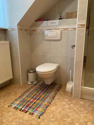 a small bathroom with a toilet and a rug at Nachtegaal in Dilsen-Stokkem