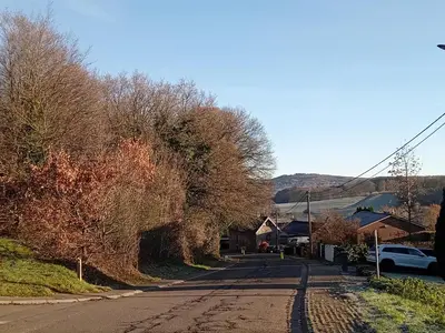 an empty street with trees on the side of the road at Sunny and bright apartment Kelmis La Calamine Neu Moresnet in La Calamine