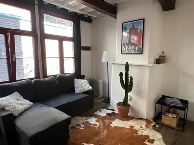 a living room with a couch and a cactus at La petite maison de l'impasse in Liège