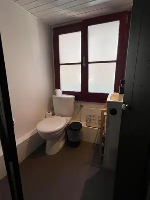 a bathroom with a toilet and a window at La petite maison de l'impasse in Liège