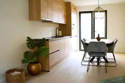 a kitchen with a table and chairs and a potted plant at Maison Magnifiek in Hasselt