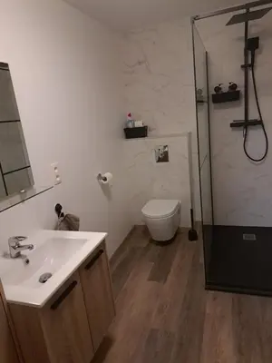 a bathroom with a toilet and a sink and a shower at B&B Hoeve Terwinghe in Gingelom