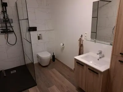 a bathroom with a toilet and a sink and a shower at B&B Hoeve Terwinghe in Gingelom