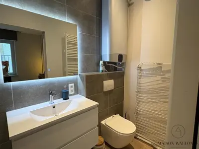 a bathroom with a sink and a toilet and a mirror at Le coeur Liégeois - Hypercentre quartier piéton in Liège