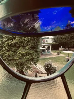 a reflection of a tree in a rear view mirror at Guesthouse 't Goed Leven in Stokrooie
