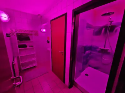 a pink bathroom with a shower and a door at L'appart en gare in Welkenraedt