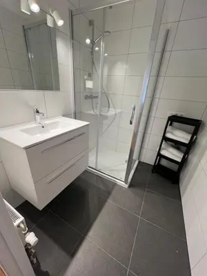 a bathroom with a sink and a shower at Alexis's loft 2 in Liège