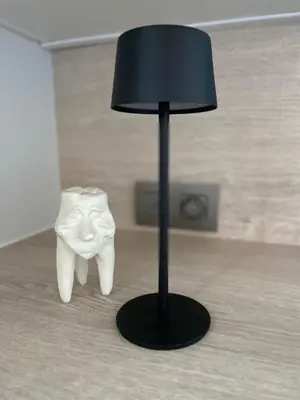 a black lamp with a statue of a tooth at Het Kabinet in Munsterbilzen