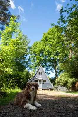 a dog laying on the ground in front of a house at Boshuisje met jacuzzi in Lanaken