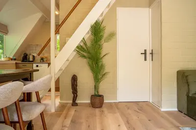 a staircase in a house with a plant in theoyer at Boshuisje Rekem - Kitoko in Lanaken