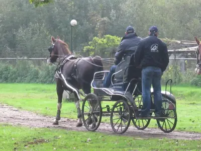 two people riding in a horse drawn carriage at Hotel De Watermolen in Bocholt