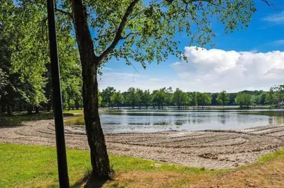 a view of a lake from a park with a tree at Bungalow in Sonnevijver - Hoge kempen in Lanaken
