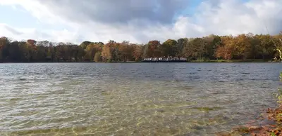 a lake with a house in the middle of it at Bosrijk gelegen vakantiehuis met optimale privacy! in Lanaken