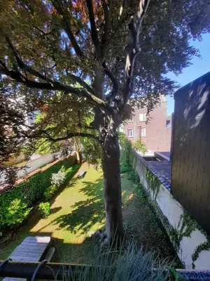 a tree in the middle of a yard at Crossborder Nest - Appartement de standing proche du circuit SPA-FRANCORCHAMPS et des HAUTES-FAGNES in Verviers