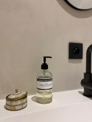 a soap dispenser sitting on top of a bathroom sink at Les Tours de Rose - Characterful accommodation in Waremme in Waremme