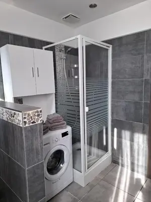 a bathroom with a washing machine and a shower at La Belle Échappée à Fléron in Fléron