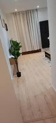 a room with a potted plant sitting on a wooden floor at Appartement dans rue calme in Liège