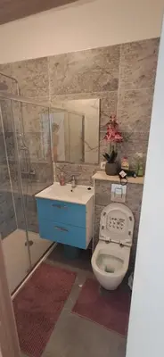 a bathroom with a toilet and a sink at Appartement dans rue calme in Liège