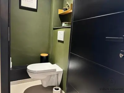 a bathroom with a toilet and a green wall at Le 180 escapade face à la Meuse in Liège