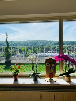 a window with vases and flowers on a window sill at Central peak of Embourg Apartment in Chaudfontaine