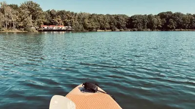 a view from the back of a boat on a lake at Five Trees Forest Home in Lanaken