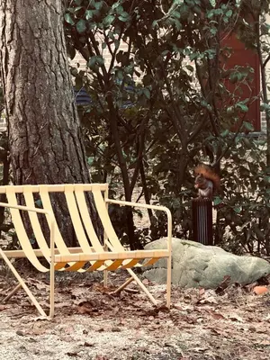a wooden bench sitting next to a tree at Five Trees Forest Home in Lanaken